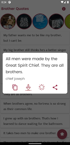 Brother Quotes and Sayings Screenshot 3