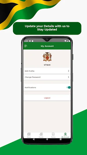 Jamaican Consulate Screenshot 2