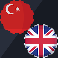 Turkish-English Translator App