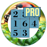 Puzzle Shift Pro