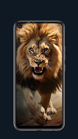 Lion Wallpapers HD 4K Screenshot 2