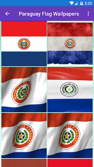 Paraguay Flag Wallpaper: Flags and Country Images Screenshot 0
