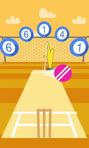 Cricket Practice Screenshot 3