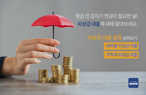 비상금대출 가이드 - 무직자, 비대면 Screenshot 0