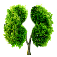 Oxygen & Lungs Care