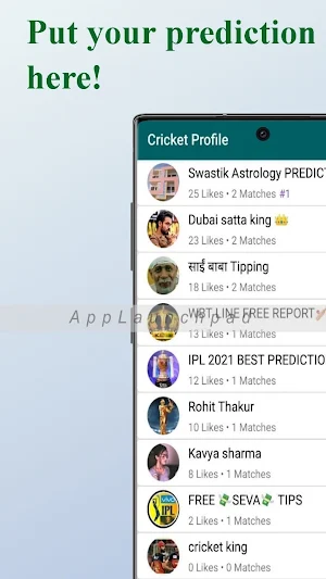 Cricket Profile - Market Load Screenshot 2