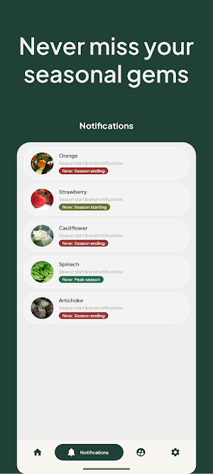 In season: fruit & vegetables Screenshot 1