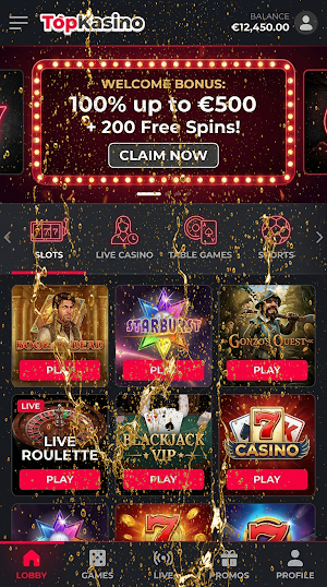 TopKasino Screenshot 1