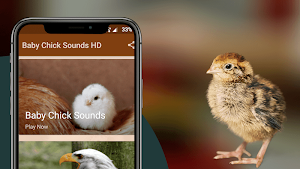 Chicks Sounds - Chirping Noise Screenshot 1