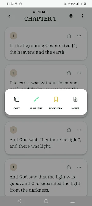 RSV Bible: Revised Standard Screenshot 3