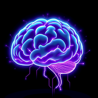 Brain and Memory Games