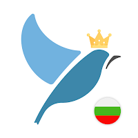 Bulgarian Language Tests