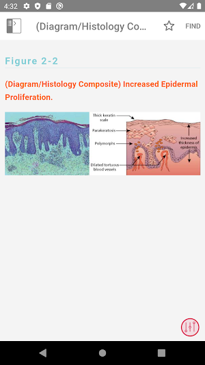 ABC Dermatology for Nurses and Medical Students Screenshot 3