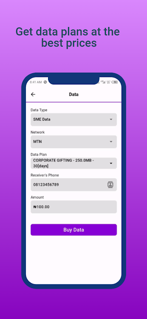 BasicpayNG Screenshot 2