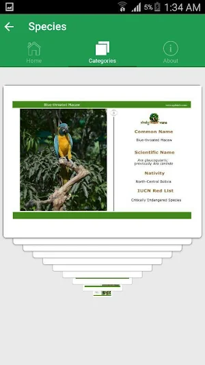 SGS Birds - Shukavana Screenshot 3