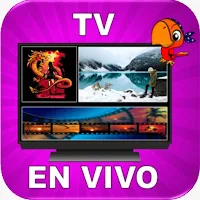 Como Ver TV en Vivo Guía