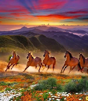 Beautiful horses Screenshot 3