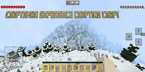 Craftsman Experience 3D Craft Screenshot 2