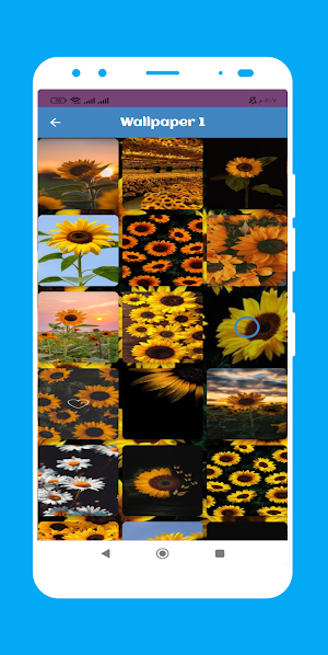 Flowers Wallpaper Screenshot 1