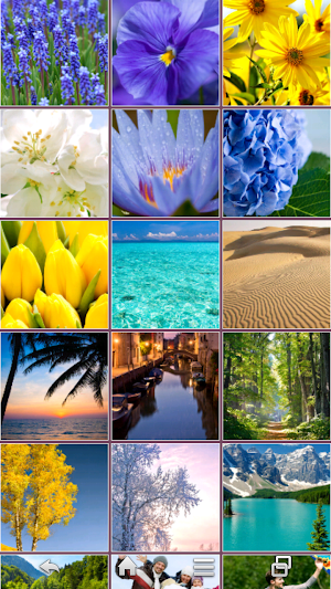 Swipe Pair Screenshot 0