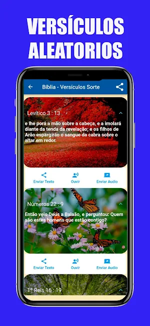 Bíblia Sagrada Áudio Screenshot 3