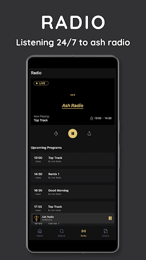 AshMusic Screenshot 1