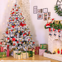 Christmas Decoration Ideas