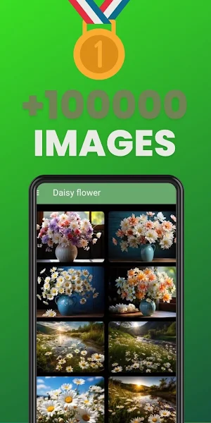 Flowers and Life Wallpapers HD Screenshot 2