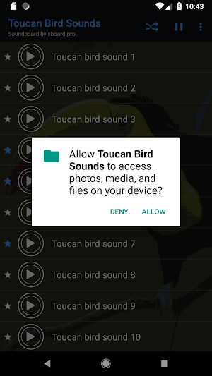 Toucan bird sounds ~ Sboard.pro Screenshot 1