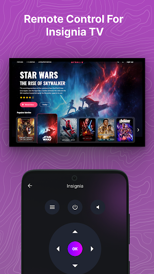 Remote For Insignia TV Screenshot 0