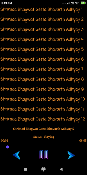 Shrimad Bhagwat Geeta MP3 (श्रीमद् भागवत गीता) Screenshot 1