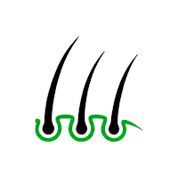 Regrow: Hair Transplant Care