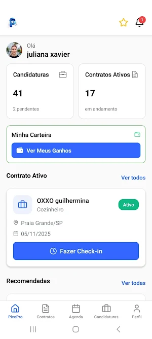 PicoPro Screenshot 2