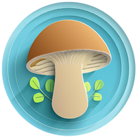 AI Mushroom Identifier