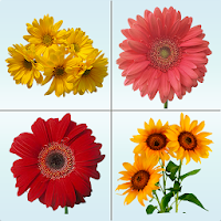 Flower Memory Matching Game
