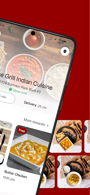 Spice Grill Indian To Go Screenshot 1