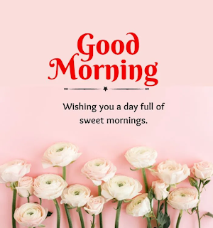 Good Morning Flowers Images Screenshot 0