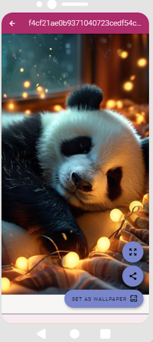 Panda Wallpapers Screenshot 3