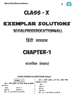 Class 10 math(Hindi)Ncert exemplar Screenshot 2