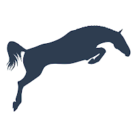 Equijump