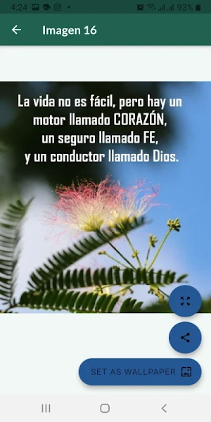 Frases sabias e inspiradoras Screenshot 0