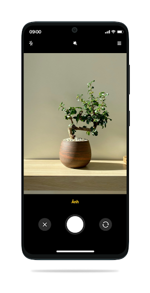 Demo Bonsai Screenshot 2
