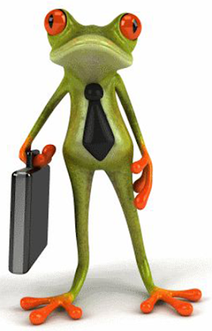 Wallpaper Green Frog Hd 2021 Screenshot 2