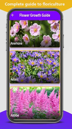 The flowers - plant identifier Screenshot 0