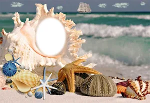 Cool Photo Frames Screenshot 3