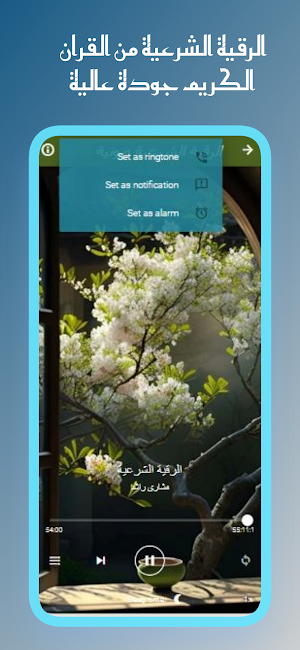 القران عكاشة كمينى بدون نت Screenshot 3