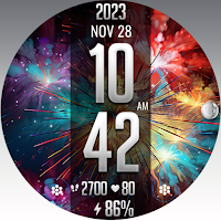 FLW103 NewYear Fireworks