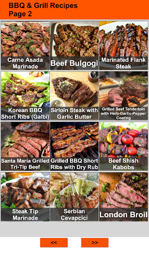 150 Barbecue and Grill Recipes Screenshot 0