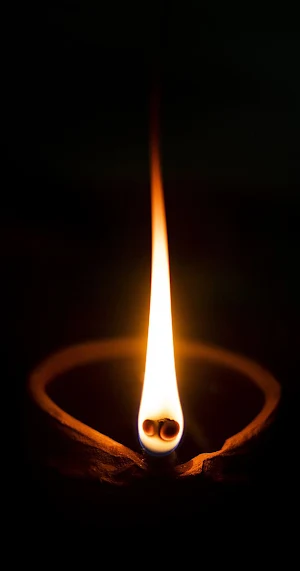 Flash Light Torch Light™ Screenshot 2