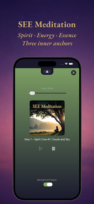 SEE Within Screenshot 3